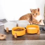 Support en bois en céramique pour animaux de compagnie, Double bol intégré, bassin pour manger et boire, mangeoire sans déversement pour protéger les petits chats et les chiens, fournitures de cou