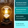 Ampoule LED rétro Edison E14 inda AC 220V 2W 4W 6W 8W – vue 3