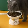 Distributeur de nourriture en céramique pour chat – vue 5