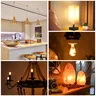 Ampoule LED à filament spiralé Edison T22 E14 – vue 2