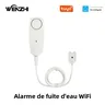 Détecteur de fuite d'eau WiFI