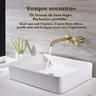 Mitigeur mural lavabo deux trous bec long incurvé… – vue 2