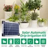 Système d'irrigation goutte-à-goutte solaire automatique – vue 2