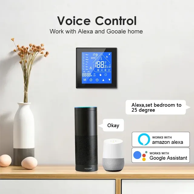 Tuya – vue 6