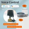 Vanne d'eau intelligente Tuya Zigbee WIFI DN15 DN20 DN25 – vue 6