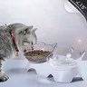 Bol Double pour chat avec support surélevé