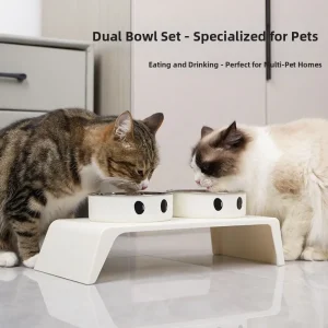 Double bols bol d&rsquo;eau de nourriture pour chat anti-dérapant antidérapant récipient d&rsquo;alimentation d&rsquo;eau pour animaux de compagnie Anti-vomissement bol d&rsquo;alimentation pour animaux de compagnie surélevé détachable