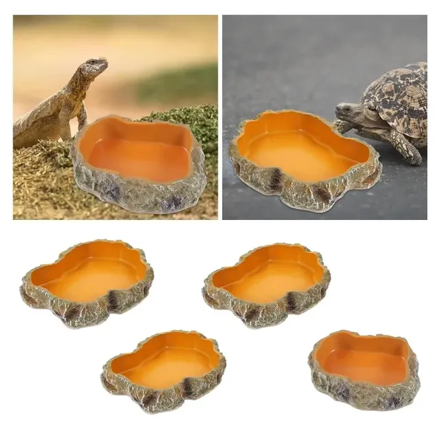 Bassin de nourriture pour animaux de compagnie