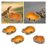 Bassin de nourriture pour animaux de compagnie – vue 1