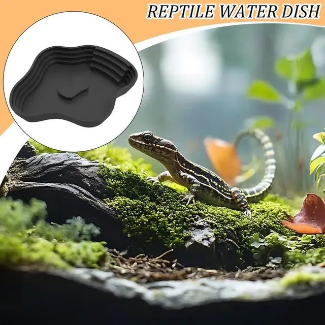 Plat d'eau pour reptiles – vue 4