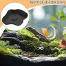 Plat d'eau pour reptiles – vue 4