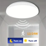 Plafonnier Led avec capteur de mouvement 12W 24W, éclairage domestique intelligent, luminaires de plafond pour entrée, balcon, couloir, 85-265V
