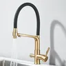 Robinet de cuisine en or brossé – vue 1