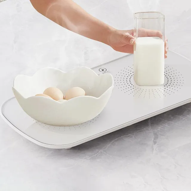 Wskins-Chauffe-plats électrique à température constante – vue 5