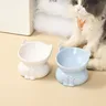 Bol en céramique multi-usage pour chat – vue 3