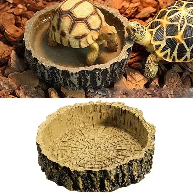 Boîte d'alimentation pour reptiles – vue 2
