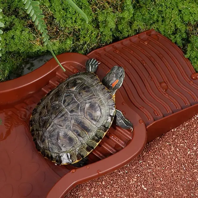 Reptile baignoire piscine Aquarium tortue escalade… – vue 2