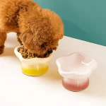 Bol en céramique en forme de fleur pour chat, mignon Anti-basculement, bassin d&rsquo;alimentation pour chien, antidérapant, grande capacité, mangeoire pour animaux de compagnie