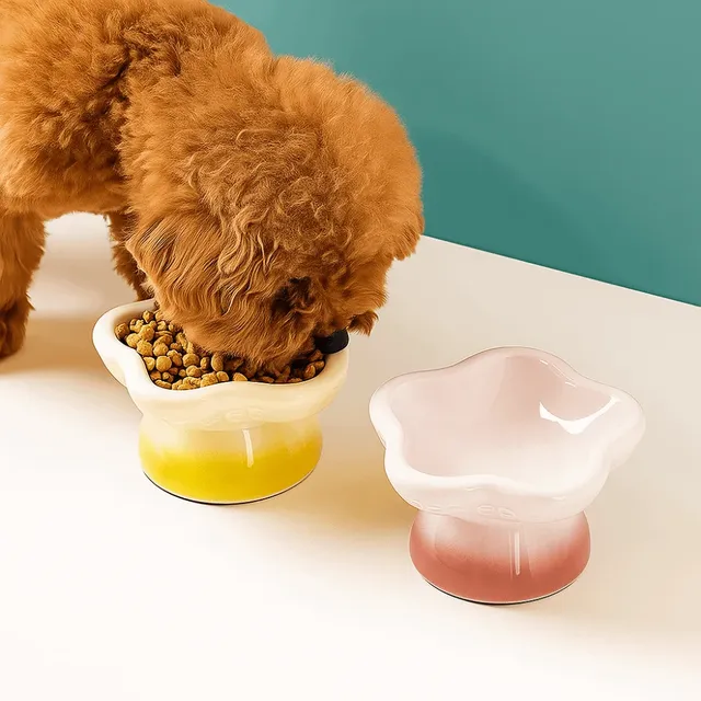 Bol en céramique en forme de fleur pour chat