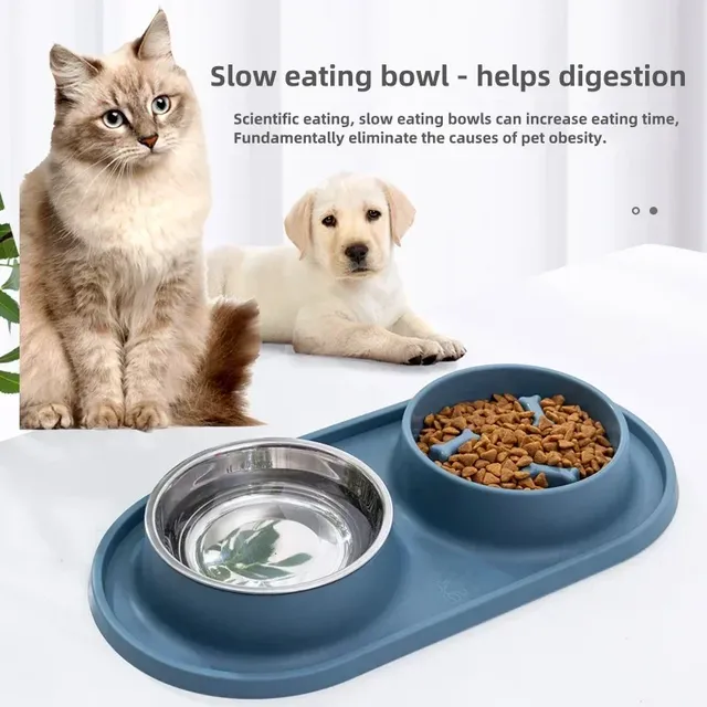 Bol Double pour chien avec tapis en Silicone