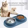 Bol Double pour chien avec tapis en Silicone