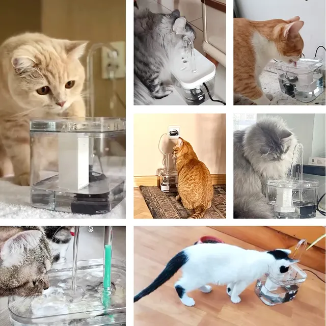 Fontaine d'eau pour chat – vue 3