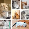 Fontaine d'eau pour chat – vue 3