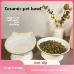 Bol de riz en céramique pour animaux de compagnie, menton de chat, bassin alimentaire, bol de ration oblique, manger et eau potable pour protéger le cervical