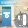 Tuya – vue 3