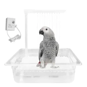 Baignoire automatique pour perroquet gris africain, douche de bain pour oiseaux de taille moyenne, perruche de conure amazonienne, calopsitte