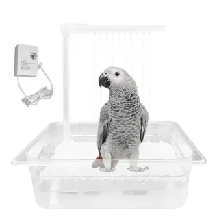Baignoire automatique pour perroquet gris africain