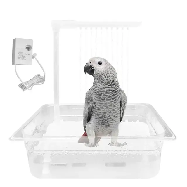 Baignoire automatique pour perroquet gris africain
