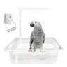 Baignoire automatique pour perroquet gris africain – vue 1