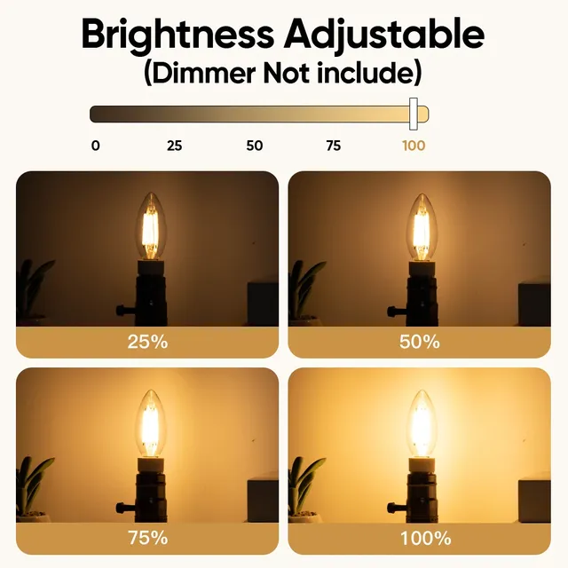 Ampoule Led C35 E14 à intensité variable – vue 4