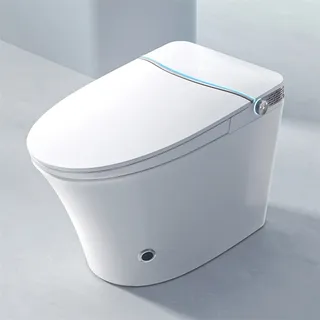 Toilettes intelligentes allongées modernes