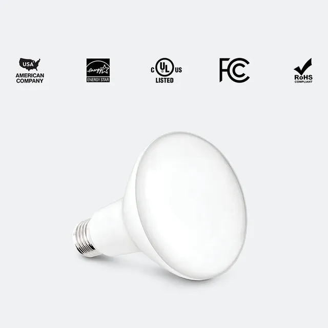 Ampoule LED Blanc Froid et Chaud pour Projecteur – vue 3