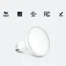 Ampoule LED Blanc Froid et Chaud pour Projecteur – vue 3