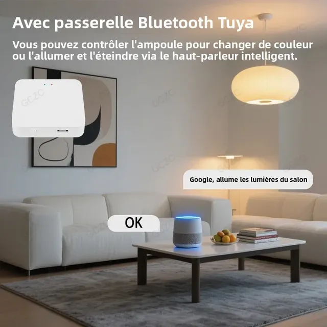 Ampoule LED Bluetooth Tuya 220V – vue 5