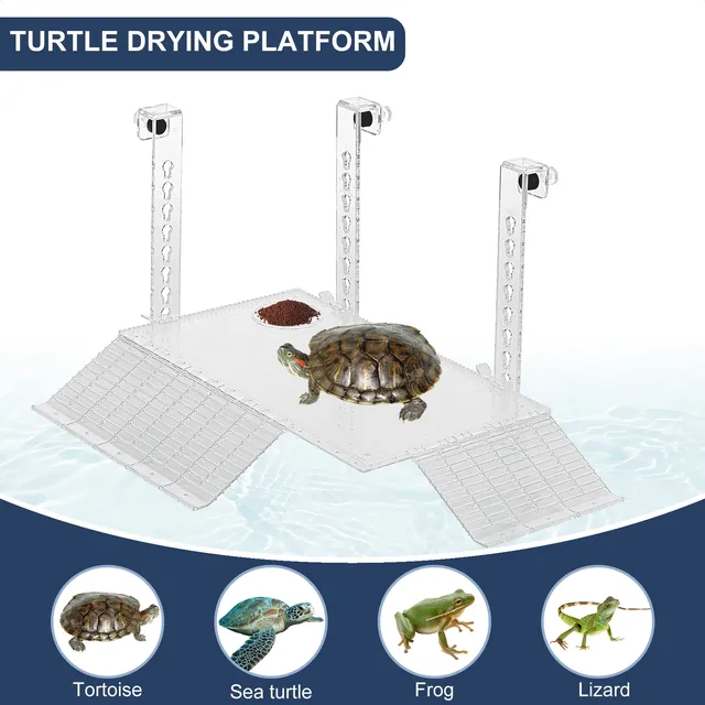 Plate-forme de se prélasser pour tortues en acrylique – vue 2