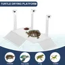 Plate-forme de se prélasser pour tortues en acrylique – vue 2