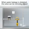 Vanne intelligente pour maison intelligente DN15 DN20 DN25 – vue 2