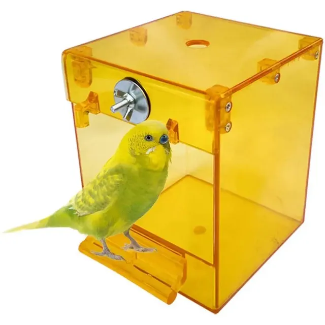Lovebirds – vue 5