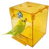 Lovebirds – vue 5