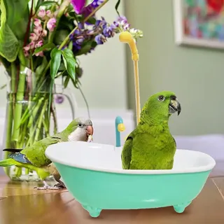 Baignoire automatique intelligente pour perroquets