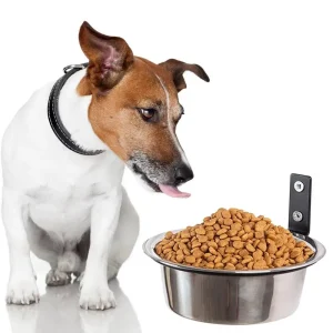 Bassin pour chat pliable suspendu bol pour animaux de compagnie 6/8 pouces mural bol d’eau de nourriture pour chat Anti-corrosion antirouille distributeur de nourriture pour animaux de compagnie maison Bassin pour chat pliable suspendu bol pour animaux de compagnie 6/8 pouces mural bol d’eau de nourriture pour chat Anti-corrosion antirouille distributeur de nourriture pour animaux de compagnie maison