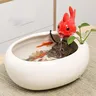 6262Vase hydroponique fontaine en céramique – vue 6