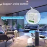 16A Tuya commutateur WiFi intelligent prise en charge… – vue 6