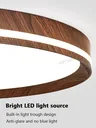 Plafonnier LED intelligent avec télécommande vocale – vue 6