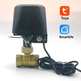Vanne d'eau intelligente Tuya Zigbee WIFI DN15 DN20 DN25