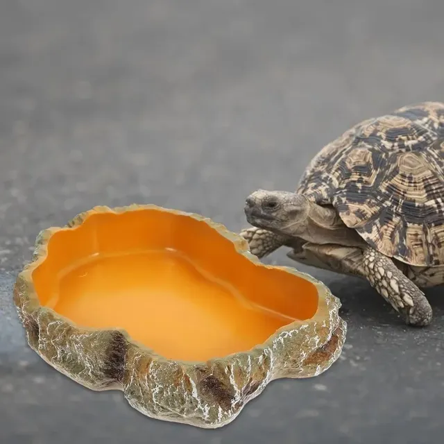 Bassin de nourriture pour animaux de compagnie – vue 3